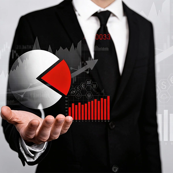 Gozetta business growth data analysis