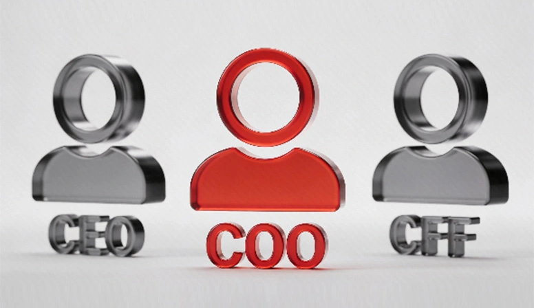 IT consulting services by Zetta Global for CEOs, COOs and CFOs: executive leadership support for strategy and performance